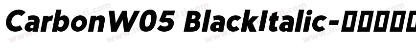 CarbonW05 BlackItalic字体转换